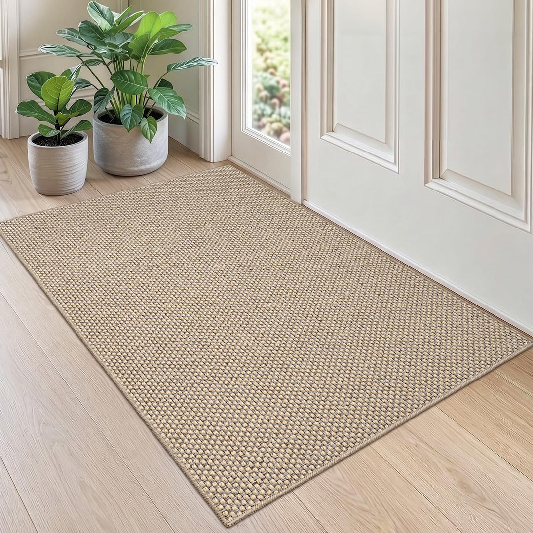 DEXI Schmutzfangmatte Innen 80 x 120 cm, rutschfest Fussmatte waschbar, absorbierend Fussmatte, Dünn