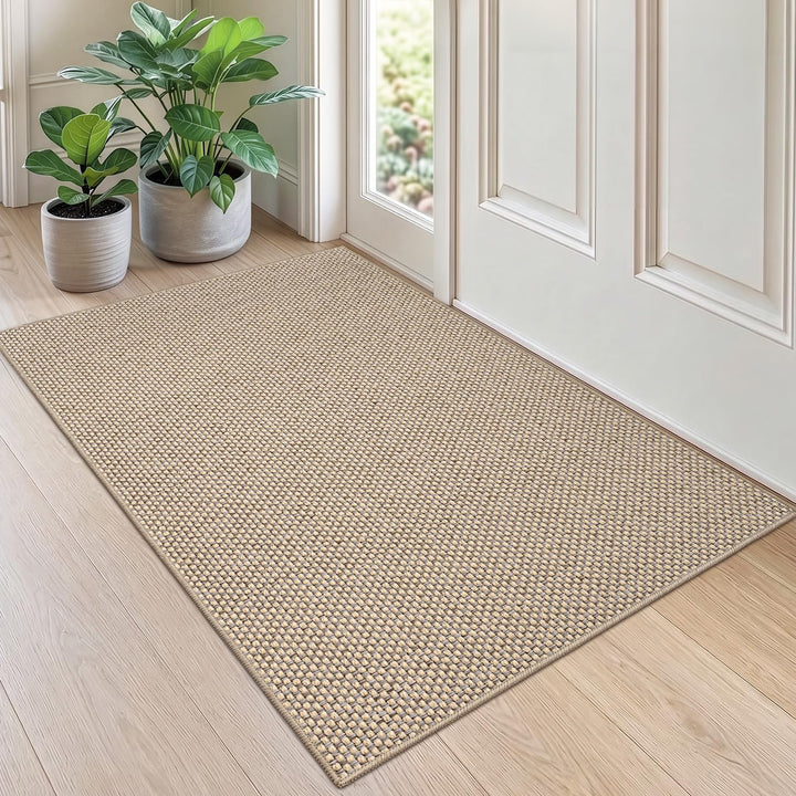 DEXI Schmutzfangmatte Innen 80 x 120 cm, rutschfest Fussmatte waschbar, absorbierend Fussmatte, Dünn