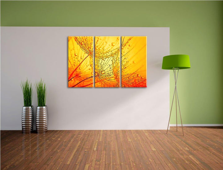 Pusteblumen Schirmflieger mit Tau Spezial 3-Teiler Leinwandbild 120x80 Bild auf Leinwand, XXL riesig