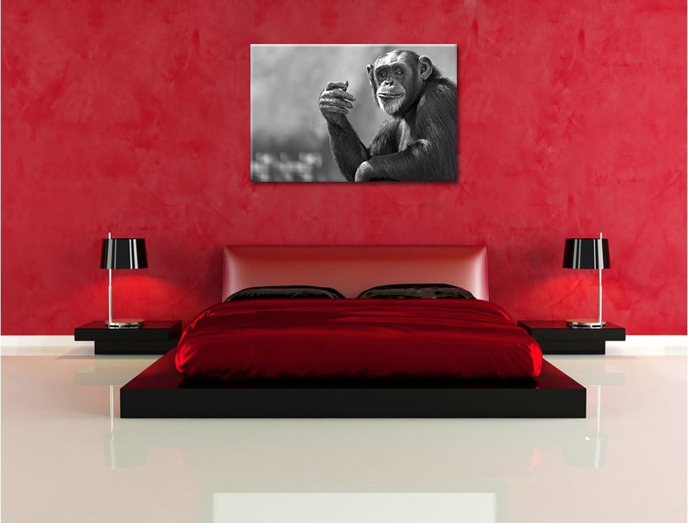 Pixxprint Aufmerksamer Schimpanse Kunst B&W / 100x70cm Leinwandbild bespannt auf Holzrahmen/Wandbild