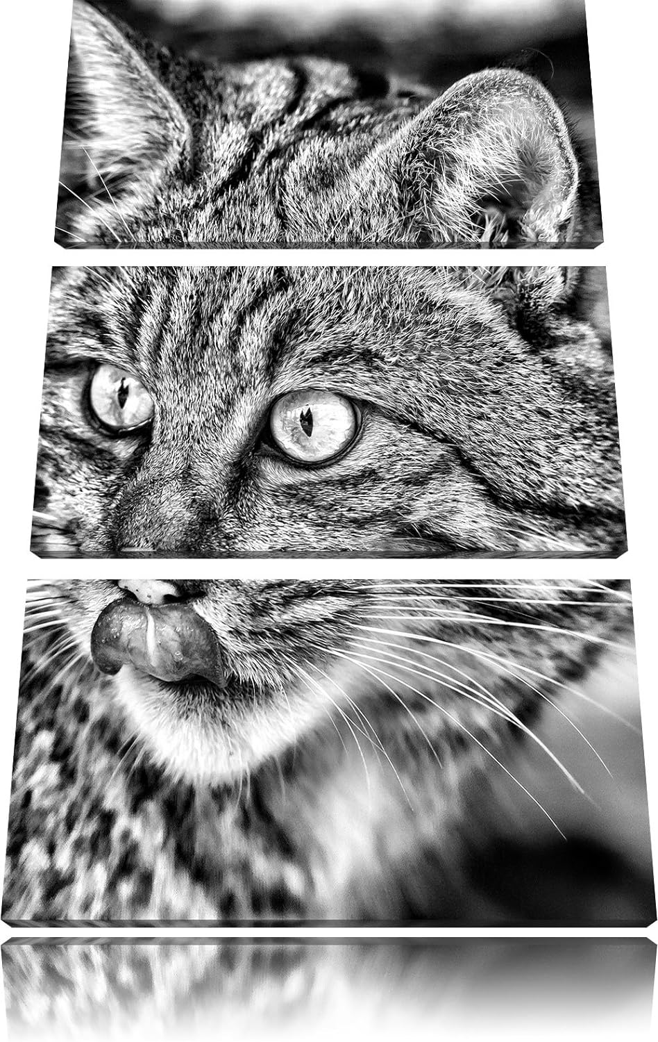 Pixxprint schöne Manul in Schneelandschaft als Leinwandbild/Grösse: 3 Teilig (120x80) cm/Wandbild/Ku