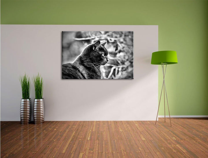 Monocrome, schwarze Katze, Format: 100x70 auf Leinwand, XXL riesige Bilder fertig gerahmt mit Keilra