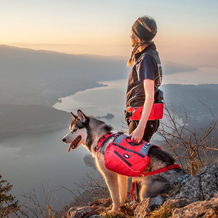 Trek I-Dog Comfort Geschirr, Rot (L), L