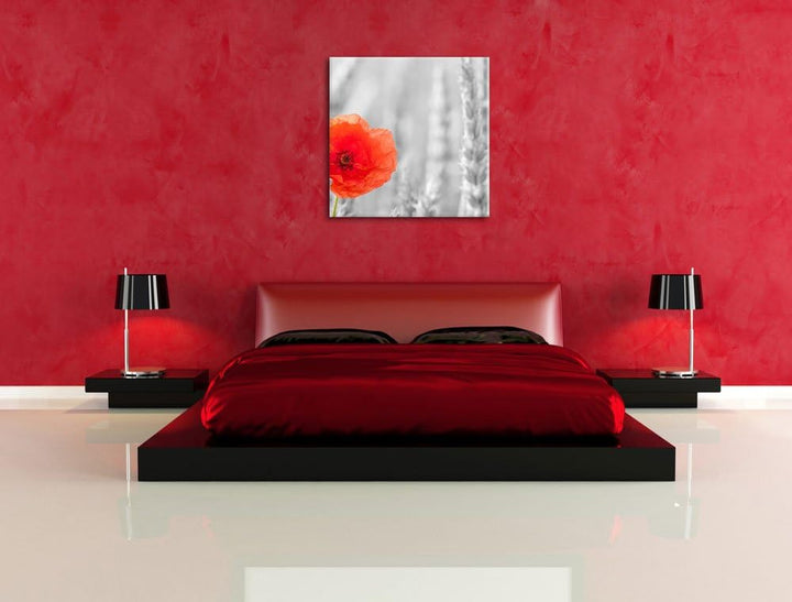 Pixxprint Mohnblume im Kornfeld als Leinwandbild/Grösse: 70x70 cm/Wandbild/Kunstdruck/fertig bespann
