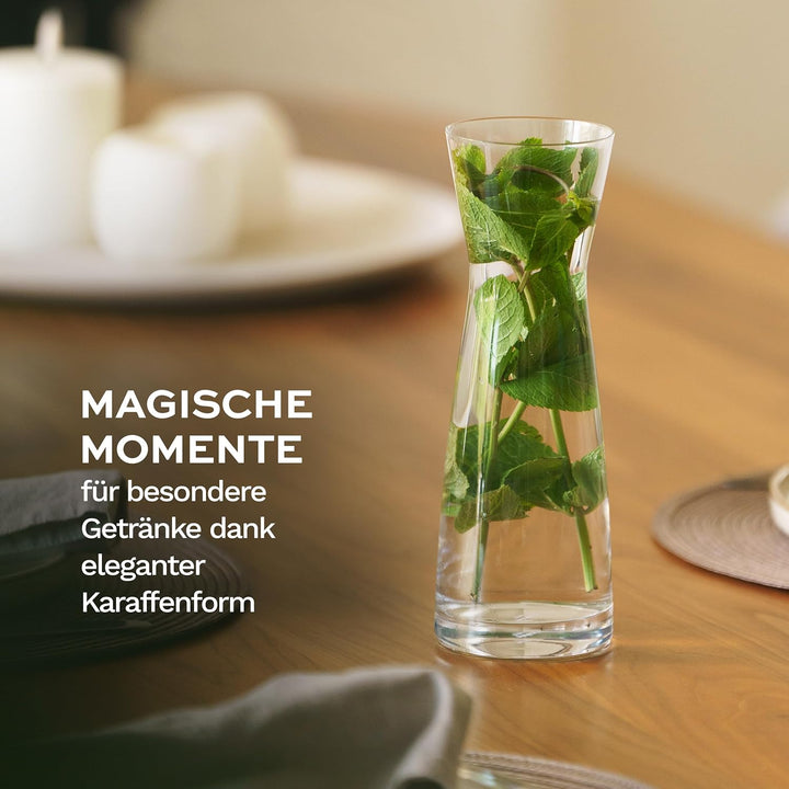 STÖLZLE LAUSITZ Karaffen 6er Set Serie Universal Variante S 100 ml I gläserne Spirituosenkaraffe I M