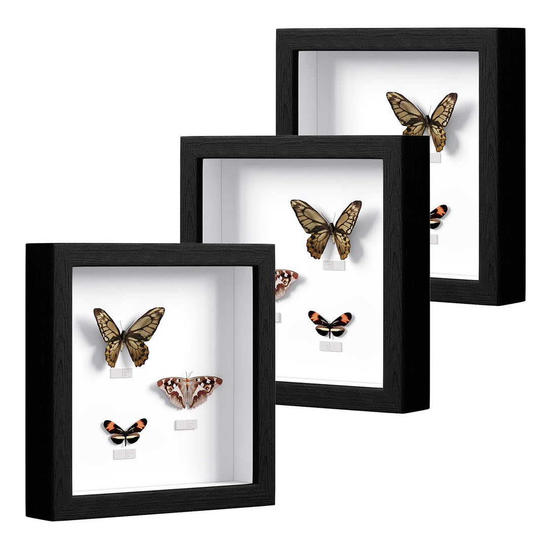 EUGAD 3er Set 3D Bilderrahmen zum Befüllen, Objektrahmen 20x20 cm, tiefer Rahmen für Objekte bis 3 c