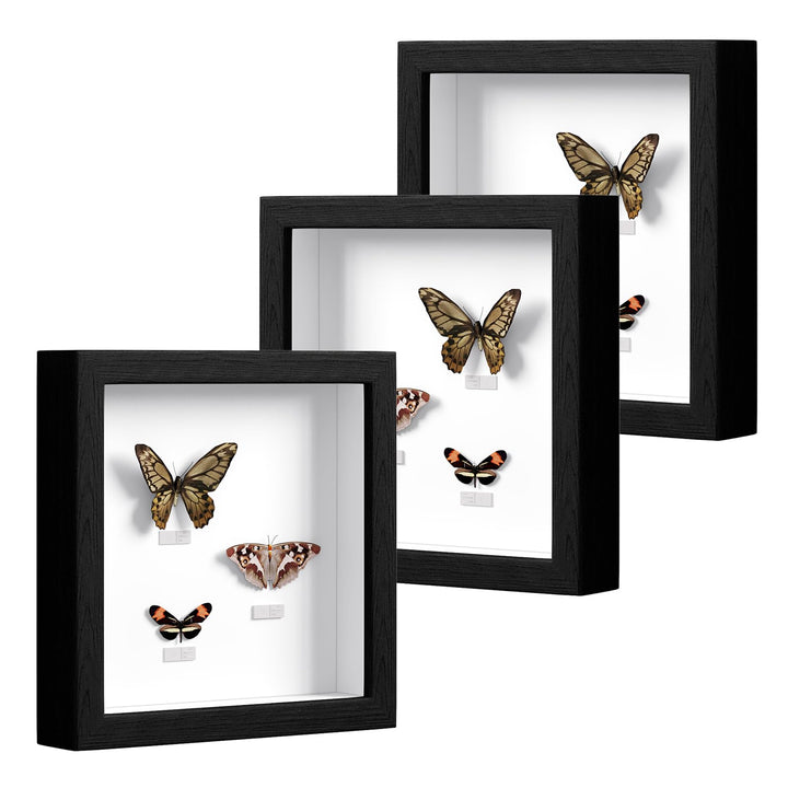 EUGAD 3er Set 3D Bilderrahmen zum Befüllen, Objektrahmen 20x20 cm, tiefer Rahmen für Objekte bis 3 c
