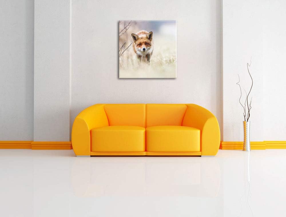 Schleichender fuchs, Format: 70x70 auf Leinwand, XXL riesige Bilder fertig gerahmt mit Keilrahmen, K