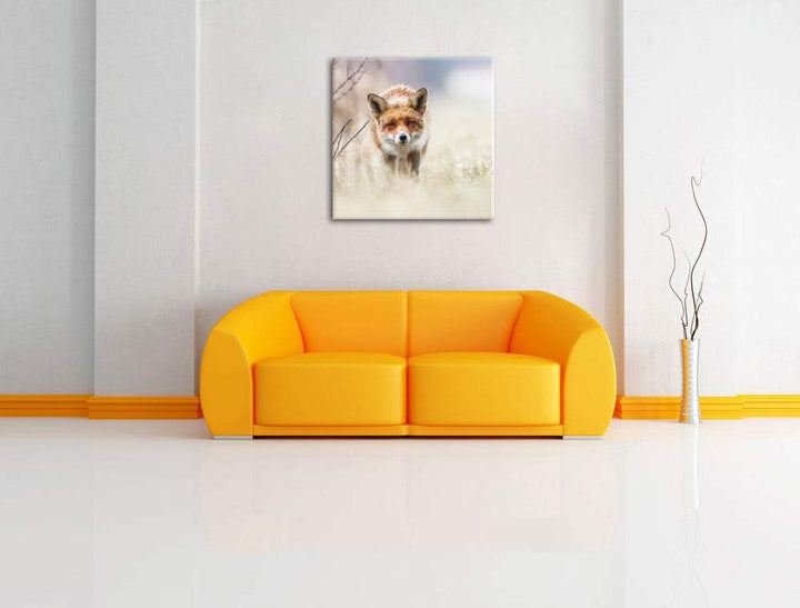 Schleichender fuchs, Format: 70x70 auf Leinwand, XXL riesige Bilder fertig gerahmt mit Keilrahmen, K
