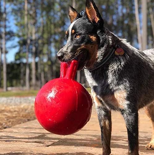 Jolly Pets JOLL046A Hundespielzeug - Tug-n-Toss, 20 cm, rot, Unisex, Clear