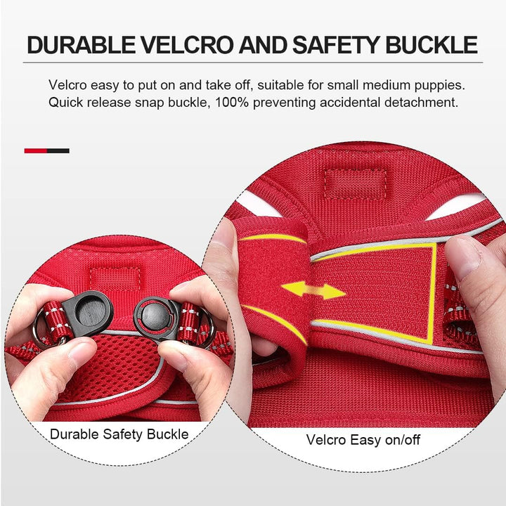 Suredoo Hundegeschirr mit Leine Anti Zug Geschirr Reflektierend Brustgeschirr für Kleine Hunde, Haus