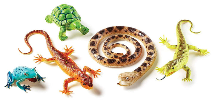 Learning Resources Grosse Reptilien u. Amphibien