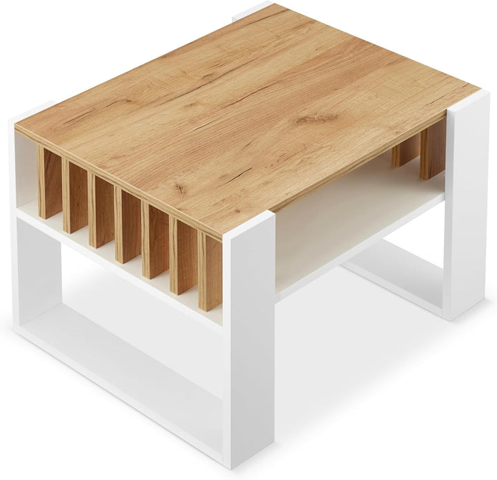 defiPad® Couchtisch mit Stauraum | 65CM Breite Kaffeetisch mit Lammelas | Modern Wohnzimmertisch Eic