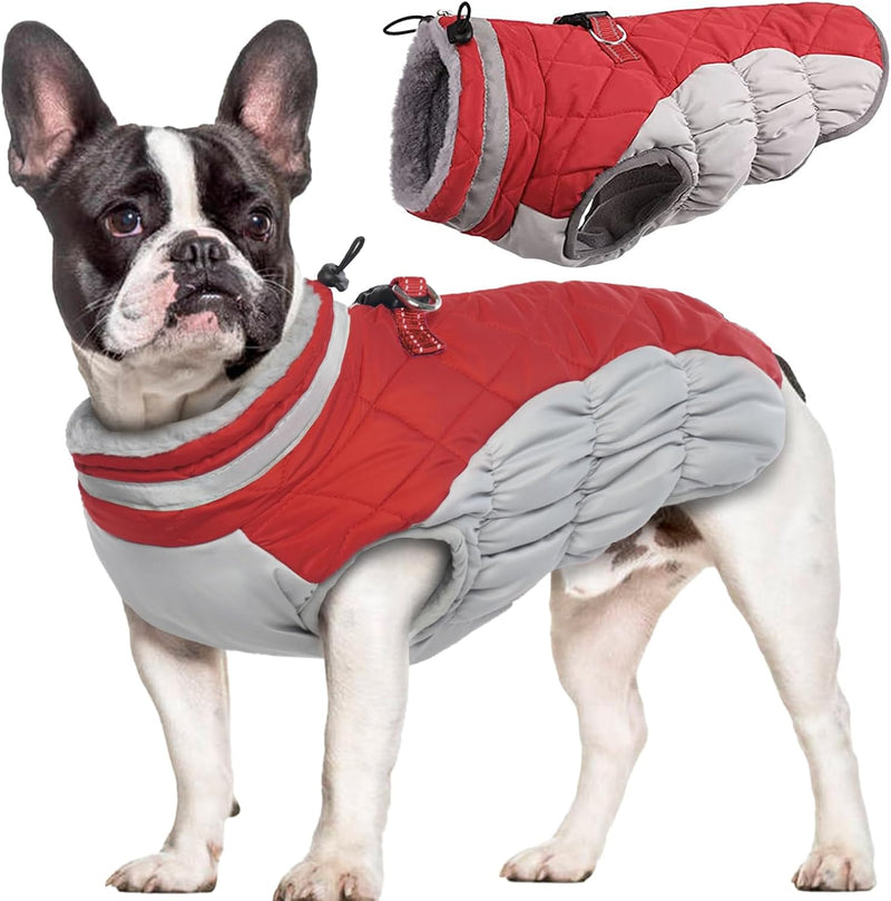 Hjumarayan Hundemantel für Kleine Hunde - Hundemantel Winter Hundemantel mit Geschirr Wintermantel H