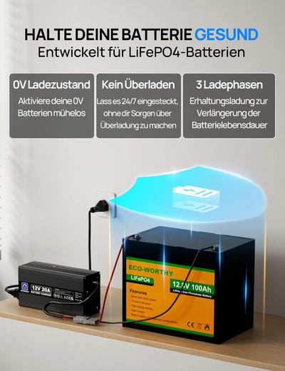 ECO-WORTHY 14,6V 20A LiFePO4 Ladegerät mit Anderson Stecker, 3-stufiges Lithium Akku Batterieladeger