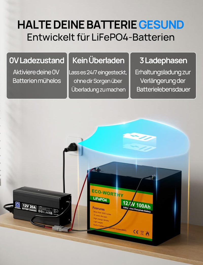 ECO-WORTHY 14,6V 20A LiFePO4 Ladegerät mit Anderson Stecker, 3-stufiges Lithium Akku Batterieladeger