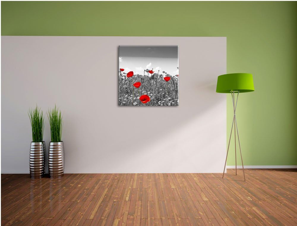 Pixxprint schöner rot leuchtender Mohn schwarz/weiss, Format: 70x70 auf Leinwand, 70x70