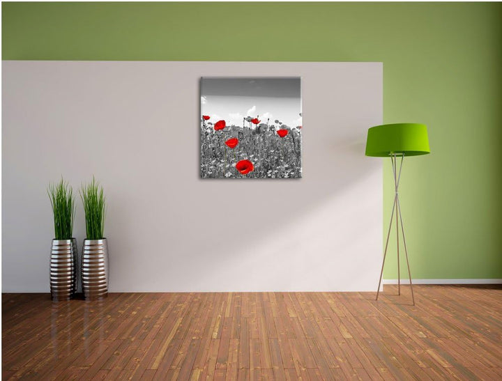 Pixxprint schöner rot leuchtender Mohn schwarz/weiss, Format: 70x70 auf Leinwand, 70x70