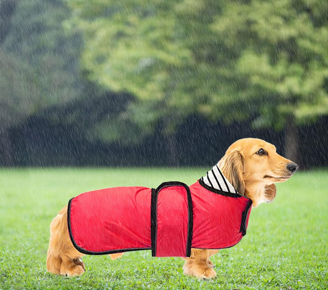 Geyecete Hunde Regenmantel,Einstellbar Wasserdicht Hundejacke für Dackel,Regenmantel mit reflektiere