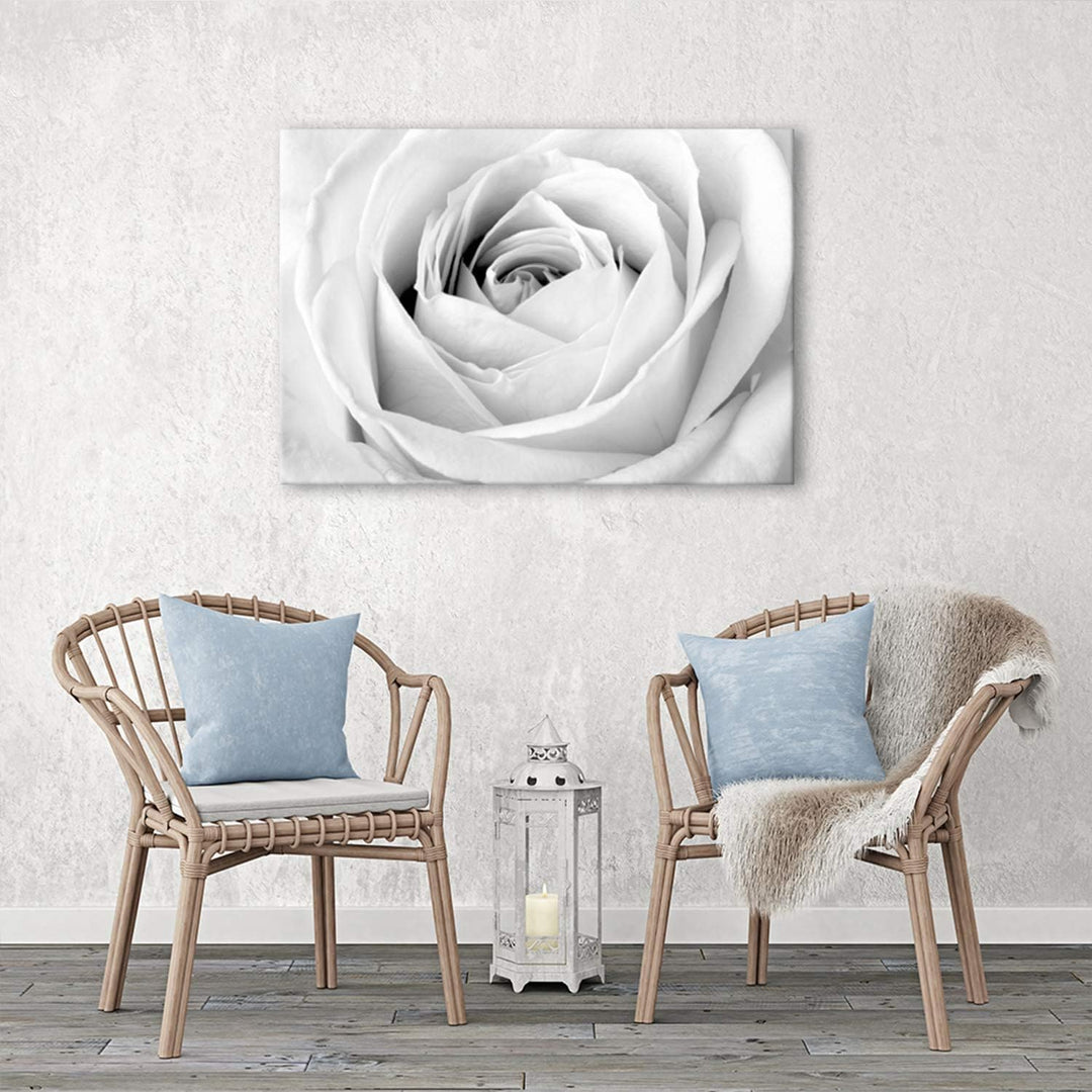 Feeby, Leinwandbild, Bilder, Wand Bild, Wandbilder, Kunstdruck 50x70cm, WEIssE Rose 50x70 Cm, 50x70