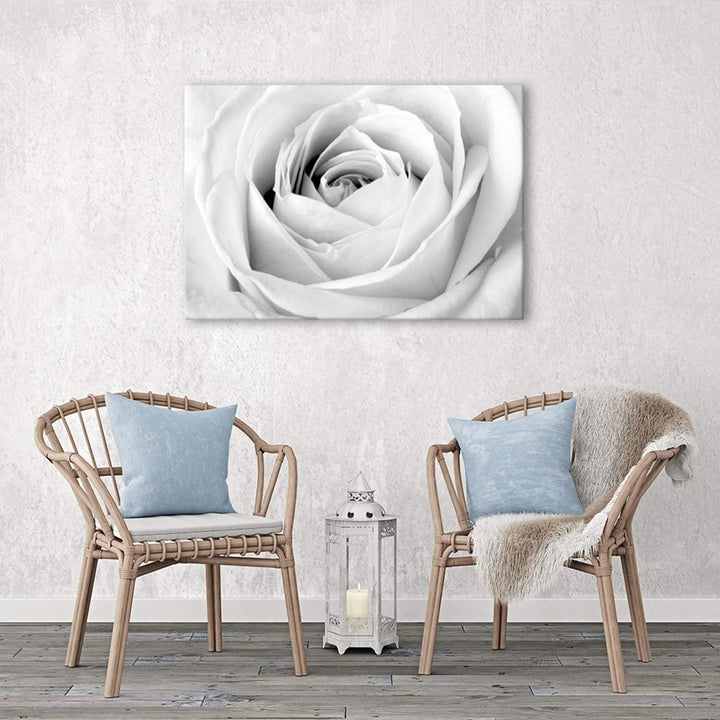 Feeby, Leinwandbild, Bilder, Wand Bild, Wandbilder, Kunstdruck 50x70cm, WEIssE Rose 50x70 Cm, 50x70