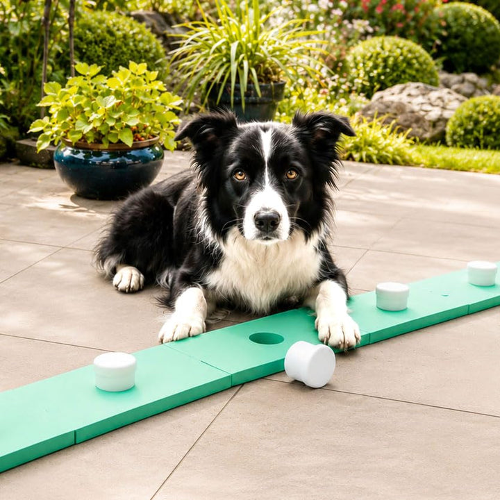 Schnüffelspass Supernasen-Set für Hunde (grosse und kleine) Hundetraining, Obedience, Hundesport, Do