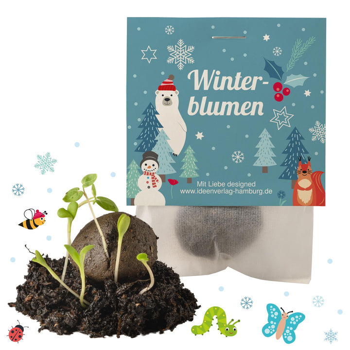 10x "Winterblumen" Winter Samenbomben Kindergeburtstag / treiben aus bei Kälte! / Geschenke Mitgebse
