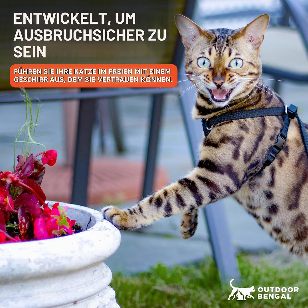 OutdoorBengal Katzengeschirr und Leine, gross, ausbruchsicher, erstickungsfrei, leicht, einfach anzu