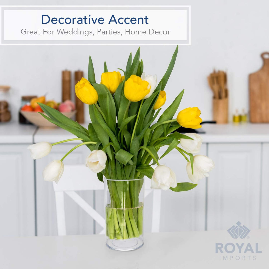 Royal Imports Blumenvase, Acryl, Zylinder, dekorativer Mittelpunkt für Zuhause oder Hochzeit, Nicht