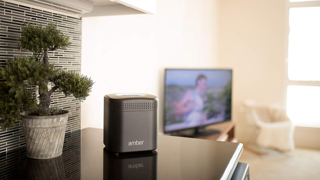 Amber Plus - Amber PRO 4TB (2TB*2), Personal Home Cloud Server, NAS - Dual-Band WiFi Router, Docker