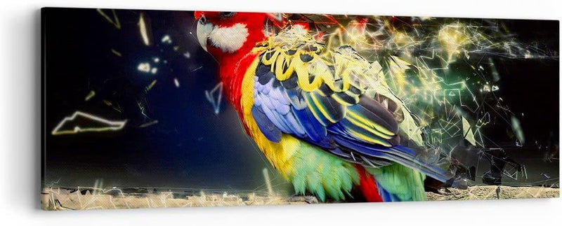 Panorama Bilder auf Leinwand Papagei Vogel Feder Leinwandbild 90x30cm Wandbilder Dekoration Wohnzimm