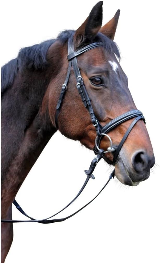 Kerbl 326137 Trensenzaum Classic Leder, Schwarz, Pony Schwarz Pony, Schwarz Pony
