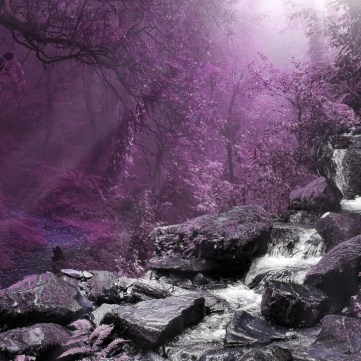 Runa Art Wandbilder Natur Wald 5 Teilig Bild auf Vlies Leinwand Deko Wohnzimmer Schlafzimmer Panoram