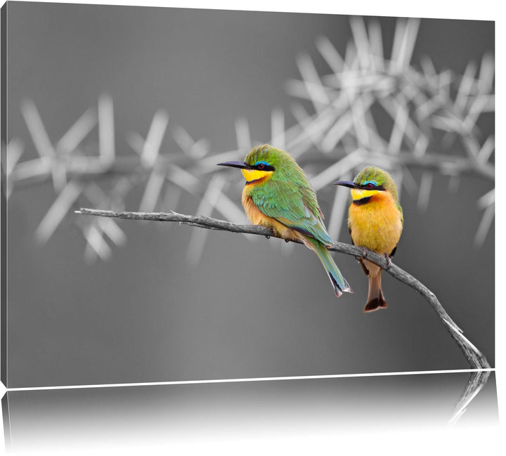 exotische Vögel auf Ast schwarz/weiss Format: 100x70auf Leinwand, XXL riesige Bilder fertig gerahmt