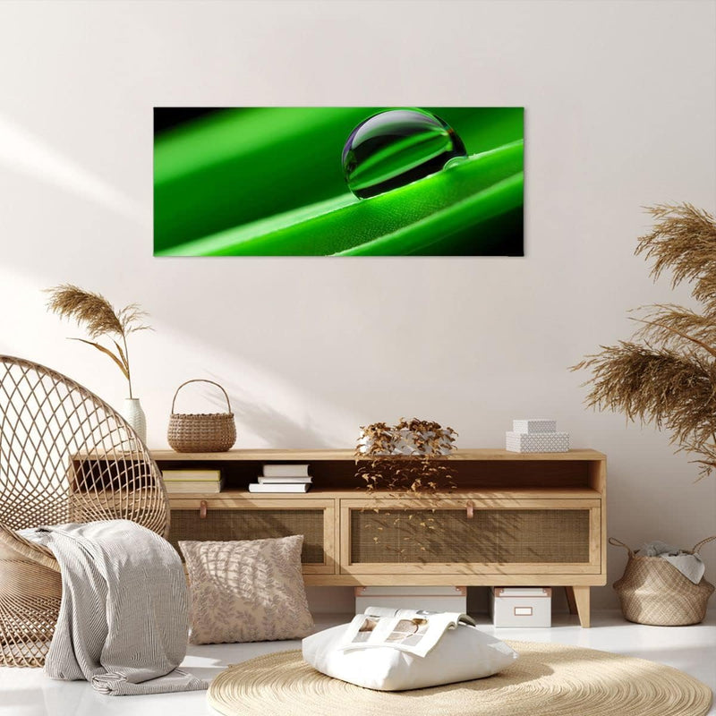 Wandbilder Dekoration Wohnzimmer Pflanze Tropfen Wasser Blase Panorama Bilder auf Leinwand 120x50cm