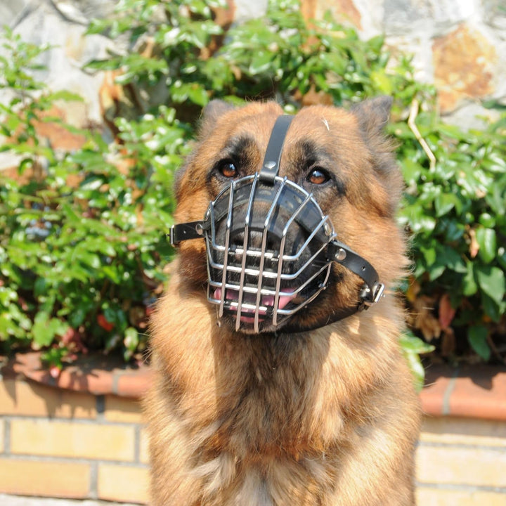 Dingo Mettal Maulkorb Nr.9a Drahtmaulkorb befindet Sich kein Kunststoffgitter.für Hundetraining Hand