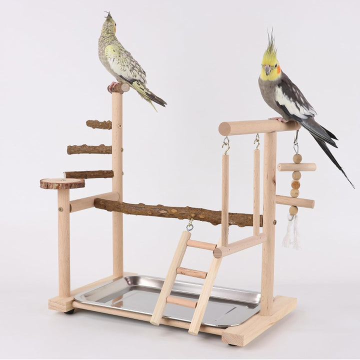 Wellensittich Spielplatz Vogel-Spielplatz mit Spielzeug Leiter Erklimmen Schaukel und Tablett für Ny