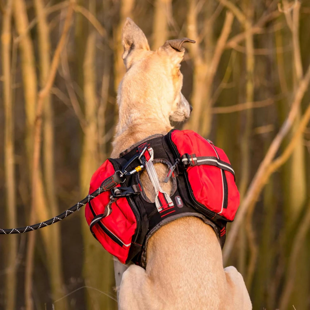 iEnergy™ MAL Hunderucksack - Wetterfester Rucksack für Hunde – Gut gepolsterter Wanderrucksack (Klei