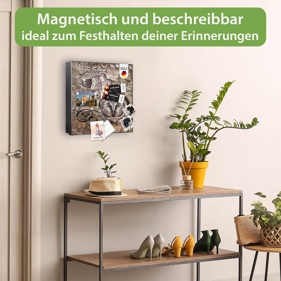 banjado® Grosser Schlüsselkasten Glas/Schlüsselbox 30cm x 30cm mit 50 Haken - Motiv Eule/Schlüsselka