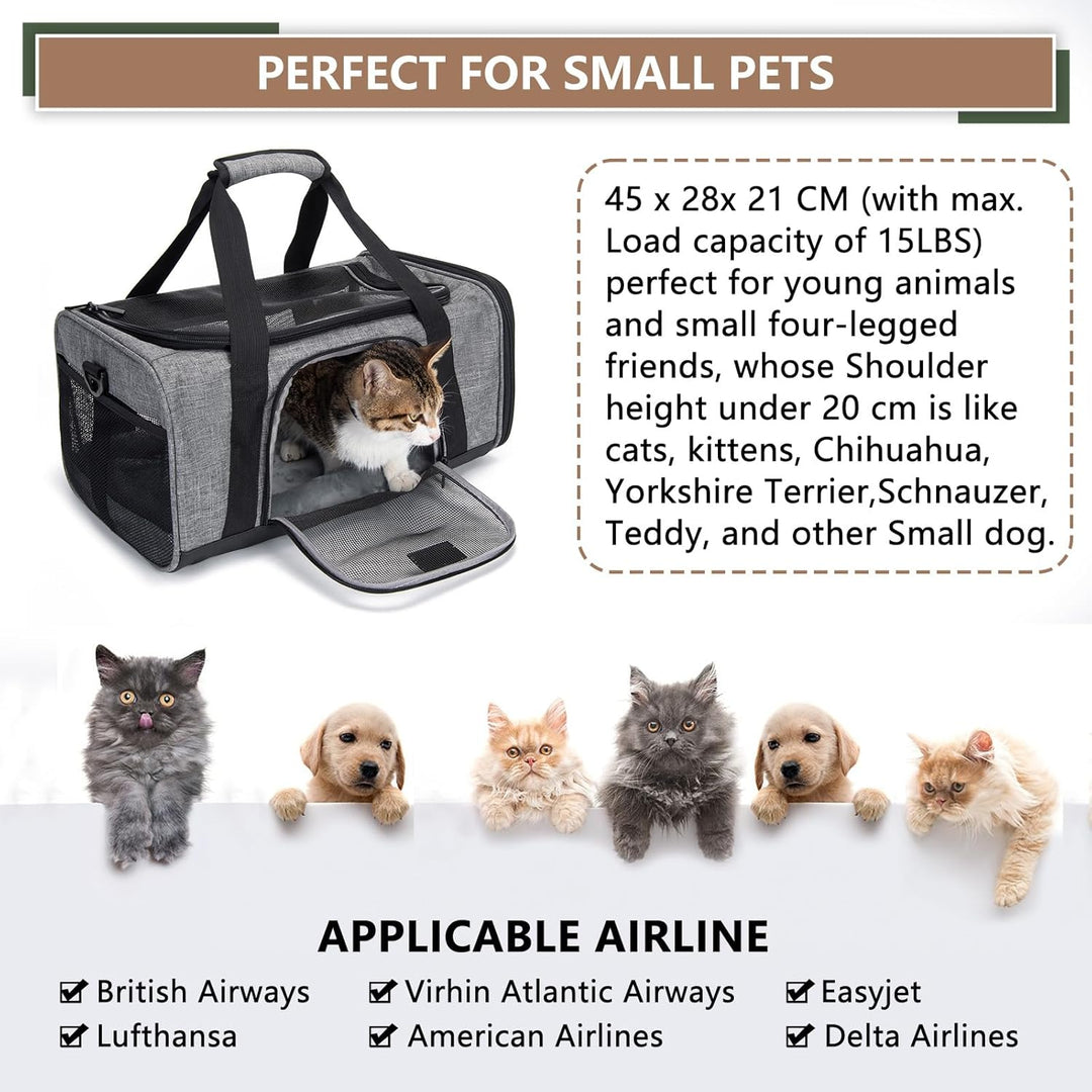 Wakytu Transportbox für Katze Hund, Transporttasche für Haustiere, Faltbare Hundetransportbox Katzen