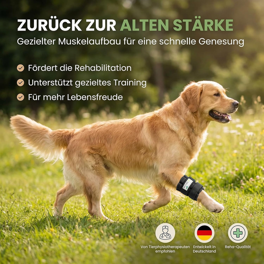 Nature Pet Therapiemanschette/Trainingsbandage mit Gewichten für Hunde (XL), XL