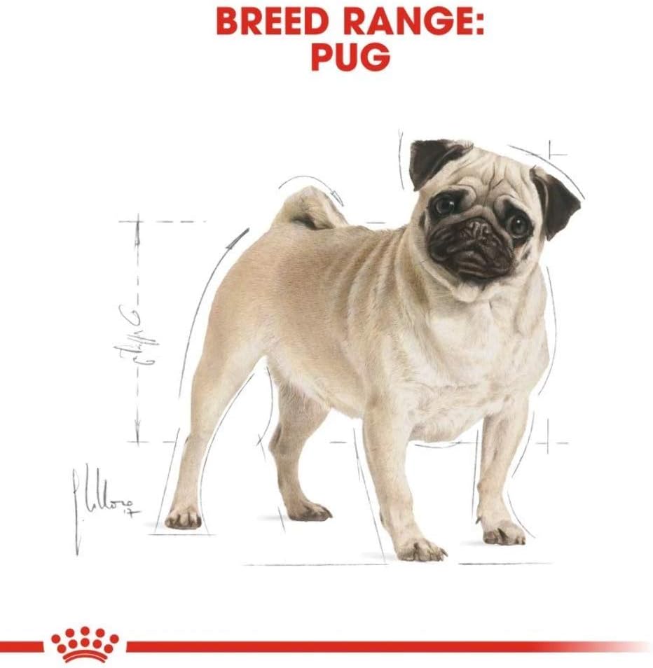 Royal Canin Mops, 7,5 kg Mix 7 kg (1er Pack), Mix 7 kg (1er Pack)