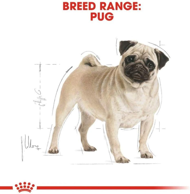 Royal Canin Mops, 7,5 kg Mix 7 kg (1er Pack), Mix 7 kg (1er Pack)