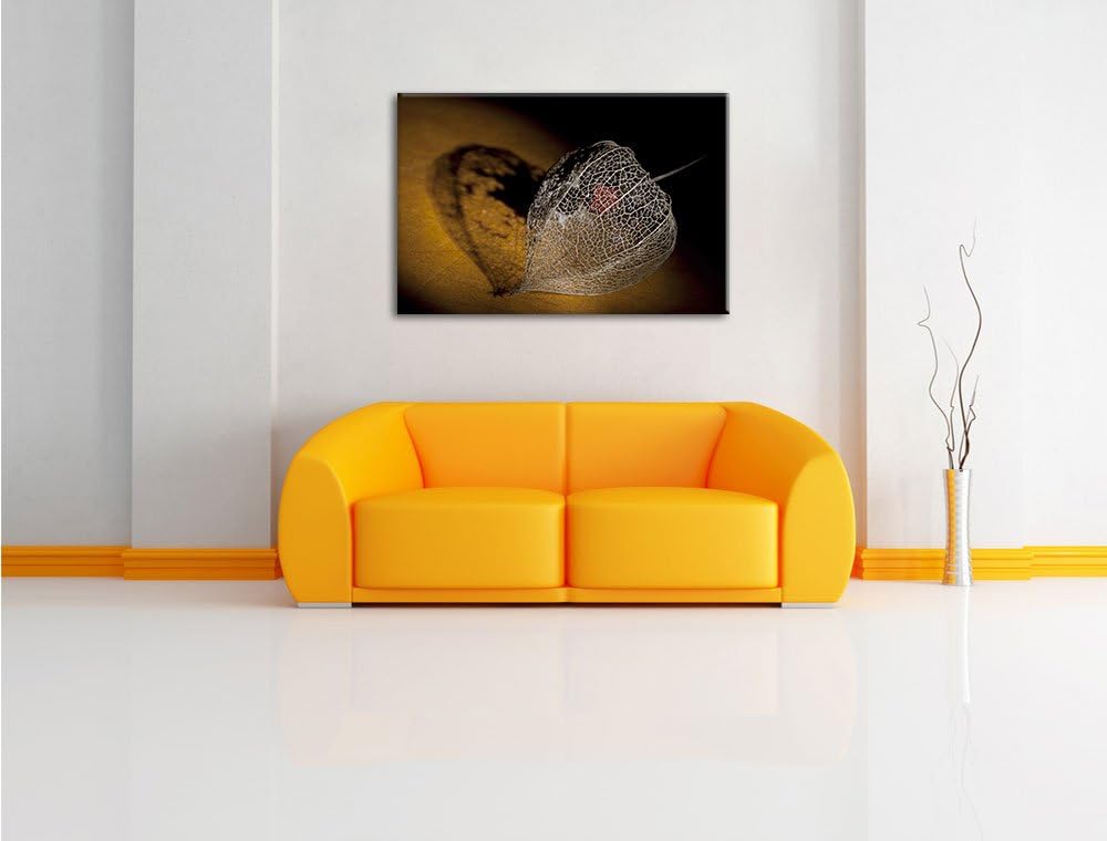 Schatten einer Physalis, Format: 100x70 auf Leinwand, XXL riesige Bilder fertig gerahmt mit Keilrahm