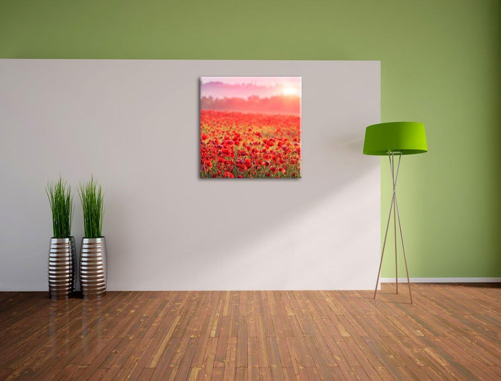 Pixxprint Mohnwiese im Sonnenschein als Leinwandbild Quadratisch/Grösse: 70x70 / Wandbild/Kunstdruck
