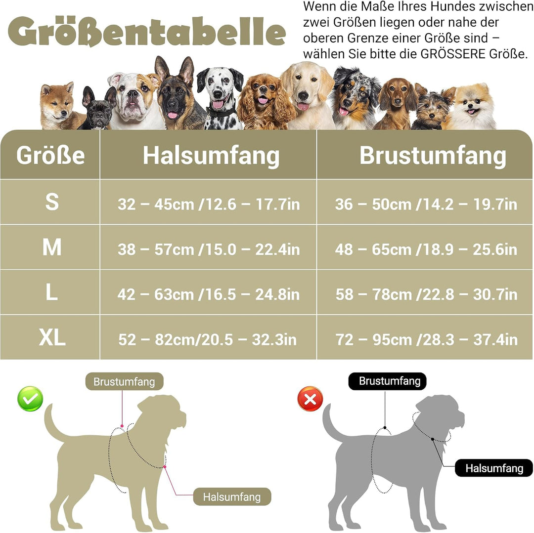 Funfox Hundegeschirr Kleine Hunde [L] - Anti Zug Welpengeschirr mit Griff &amp; Ringreflektoren, Atmungs