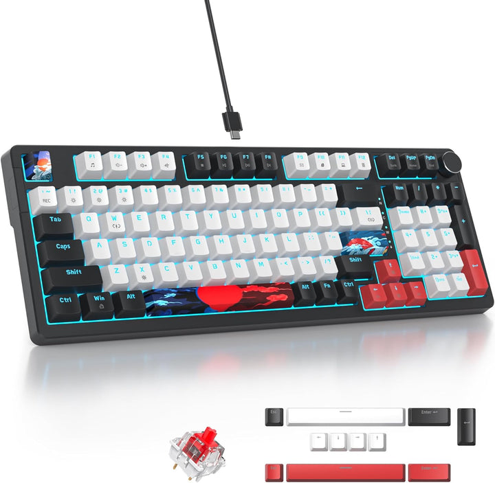 SOLIDEE Verkabelte 95% Mechanische Gaming-Tastatur,Hot-Swap-Fähige Mechanische Tastatur,Gasket Struk