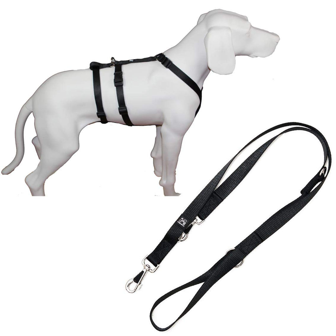 Feltmann NoExit Hundegeschirr®, mit passender Führleine 210 cm, 3-Fach verstellbar - ausbruchssicher