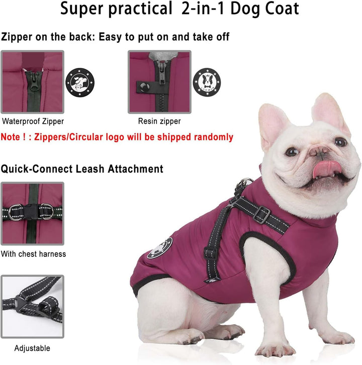 Hundemantel Wasserdicht, Hundemantel Französische Bulldogge, Warme Weste mit Hundegeschirr, Verschie