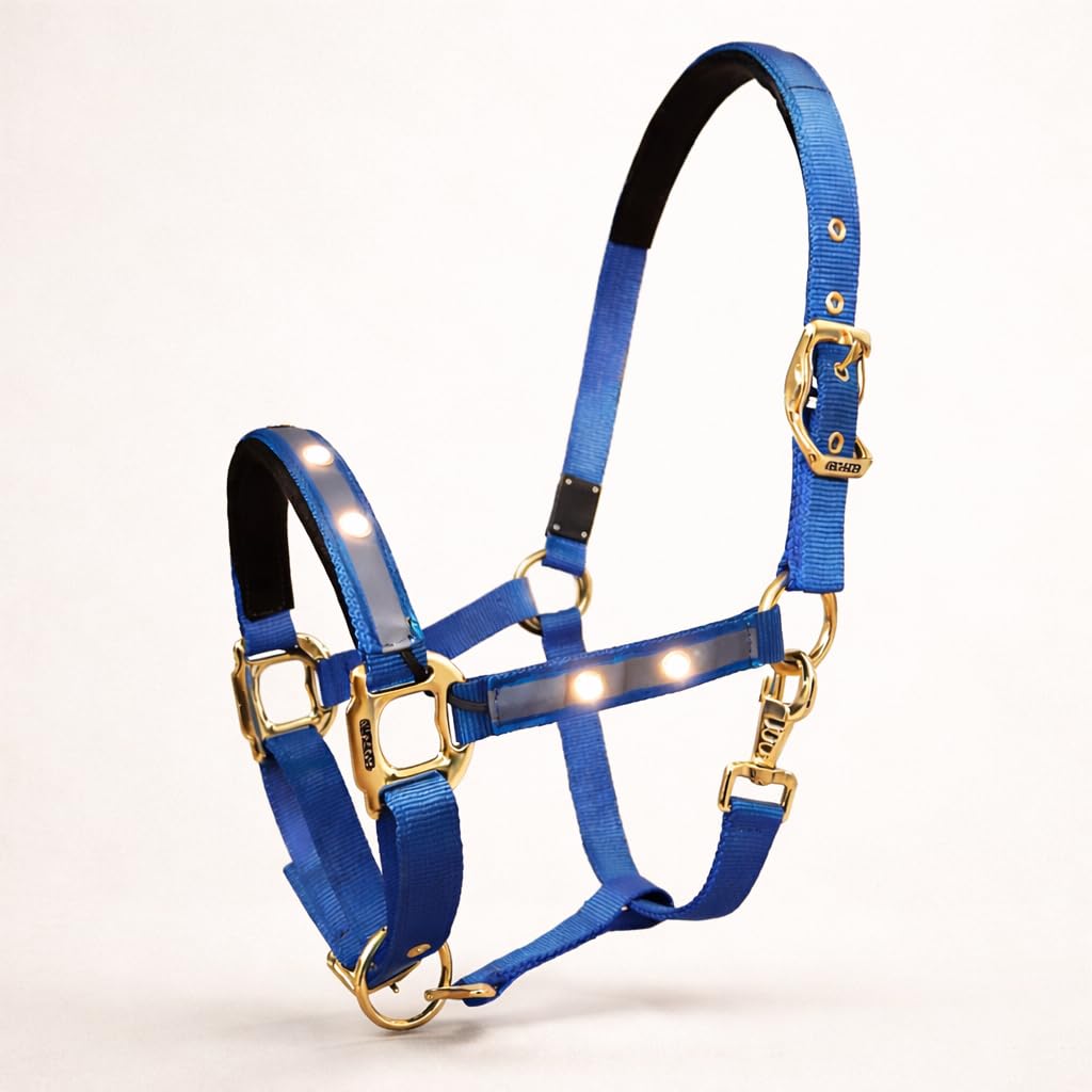 Reinecke Equestrian Premium Leuchthalfter Reflexhalfter Sicherheitshalfter Stallhalfter Weidehalfter